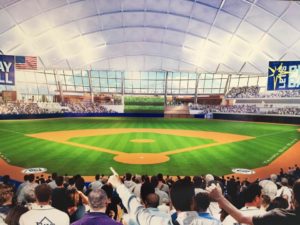 Behind Rays2020 Home Plate